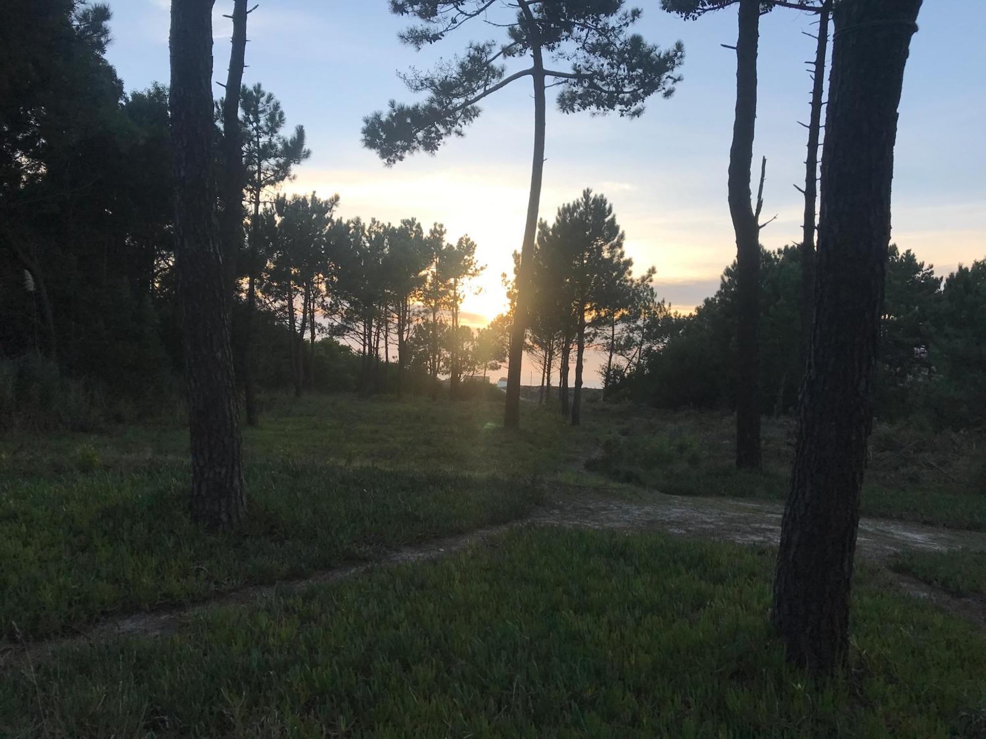 Arvore Cozy Com Jardim Экстерьер фото